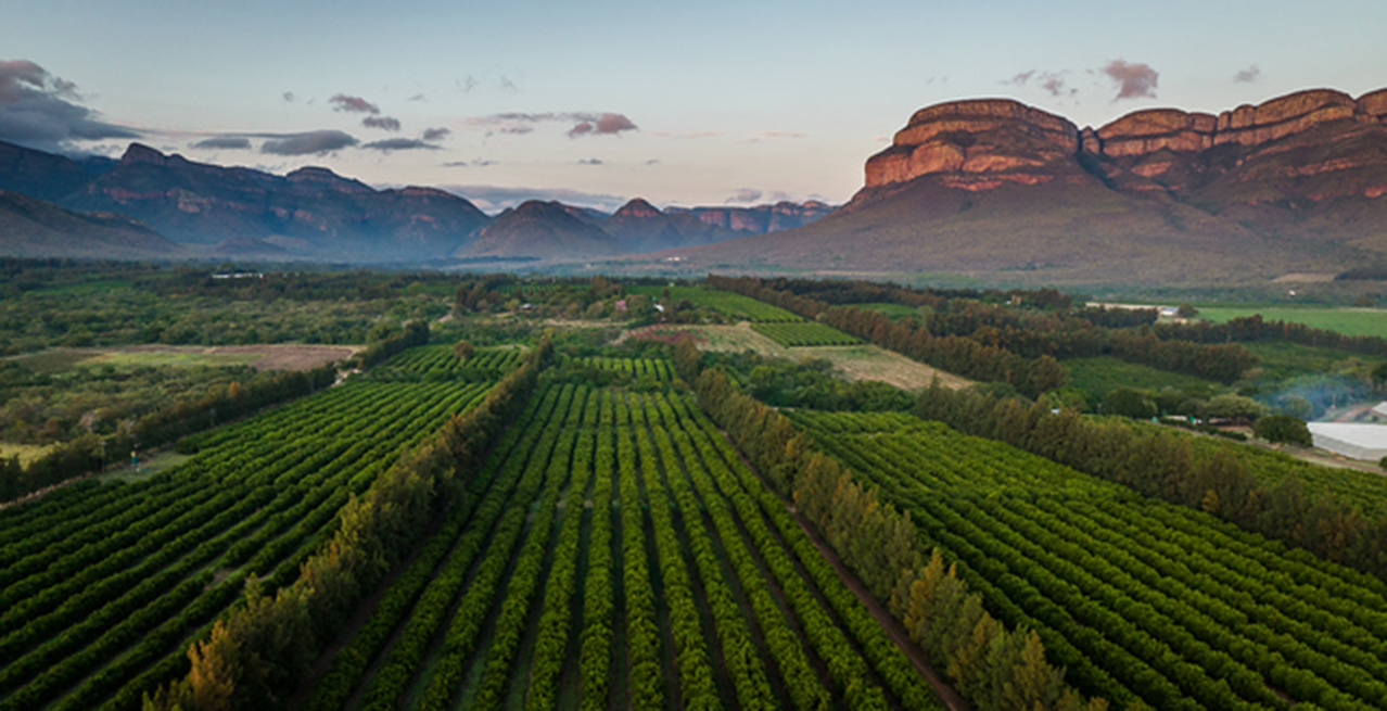 Berry Brief 2026 Q1 03 Rising To The Challenge FINAL