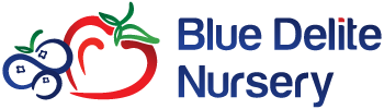 Blue Delite Nursery Logo Nav