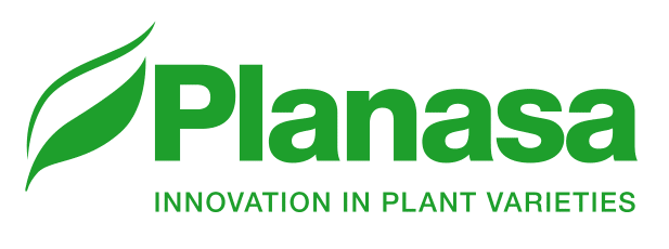 Logo Planasa 1