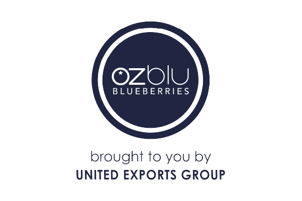 Ozblu United@2x 100