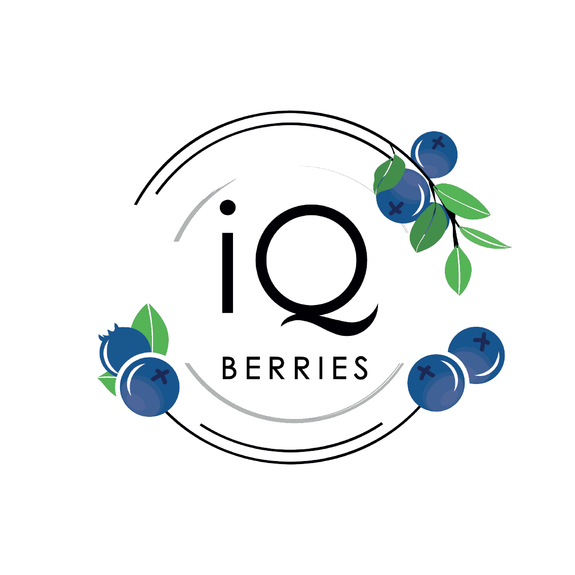 IQ Berries
